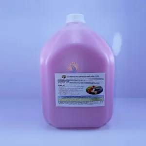 Autocar Shampo para Carrocería Con Cera 5 lt